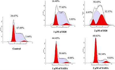 Discovery of 2-Phenylquinoline-4-Carboxylic Acid Derivatives as Novel Histone Deacetylase Inhibitors